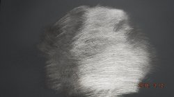 180312 60 Chevy Biscayne (12).JPG